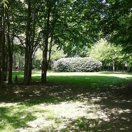 Splendid In Flemish Ardennes With Pool
